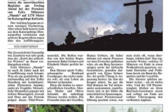 Bericht n der Kronenzeitung von Hubert Berger