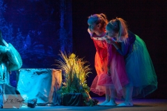 Allerleirauh - J.B.Franke Photography