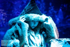 Allerleirauh - J.B.Franke Photography