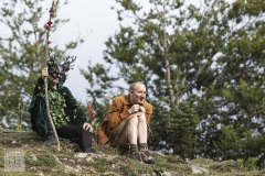 Sommernachtstraum (c) 2019 Johannes Franke
