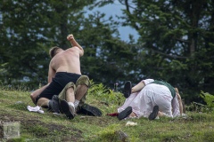 Sommernachtstraum (c) 2019 Johannes Franke