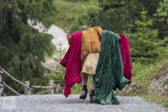 Sommernachtstraum (c) 2019 Johannes Franke